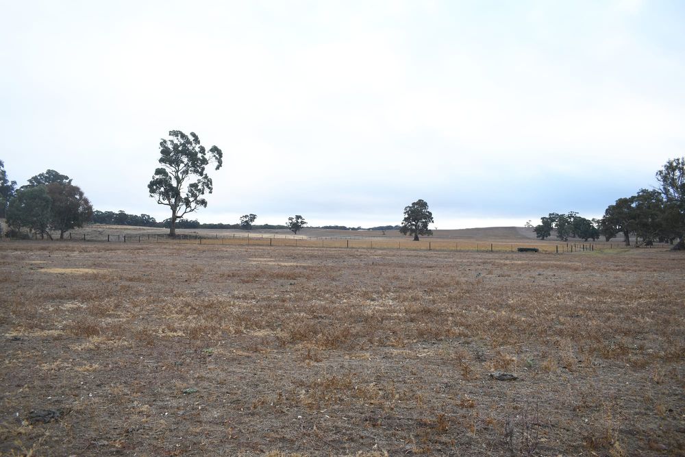 Housing boom for Keyneton considered as DA lodged post image