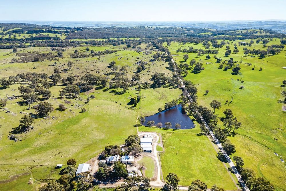 Looking for a lifestyle property in the Barossa Ranges post image