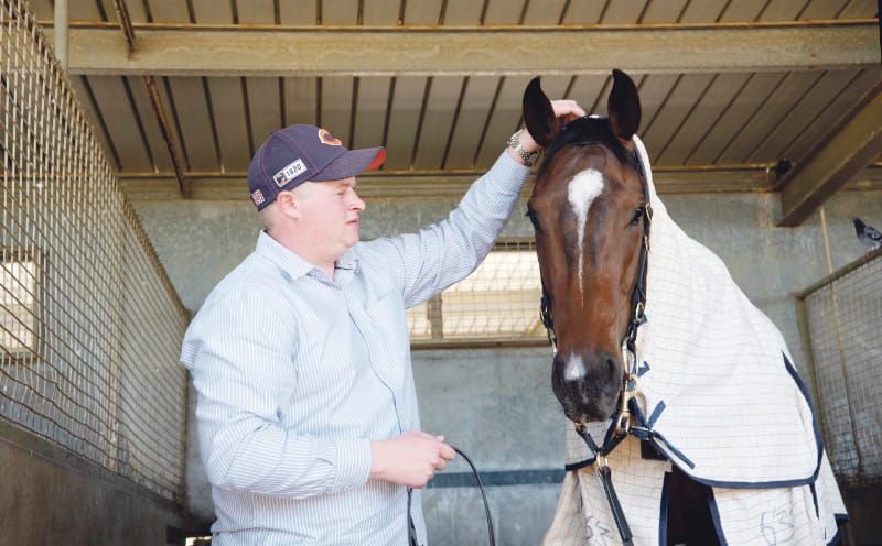 McEvoys shut down historic stables at Angaston post image