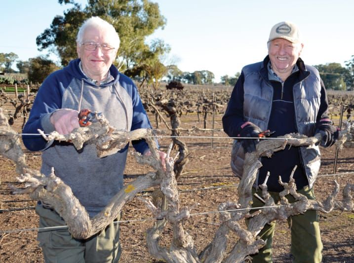 Age no barrier to vineyard pruning post image