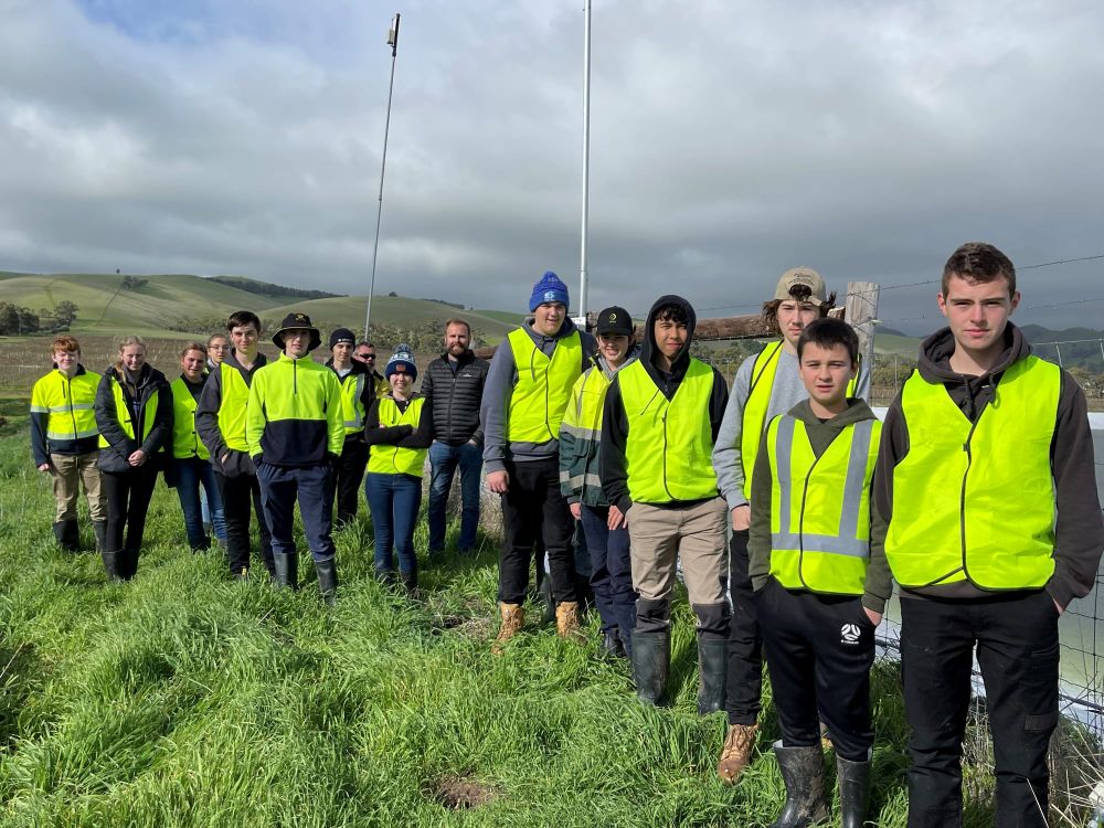 Work experience in the vines post image