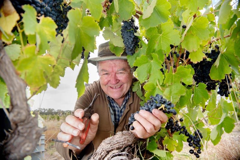 Vintage 101 post image