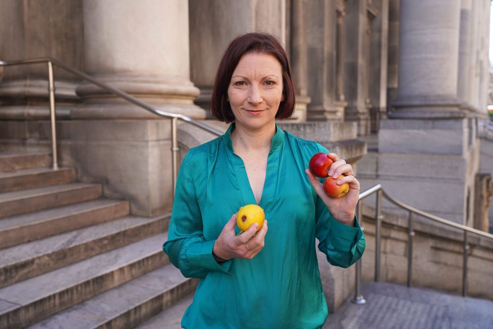 Taste not waste with ‘imperfect’ fruit post image