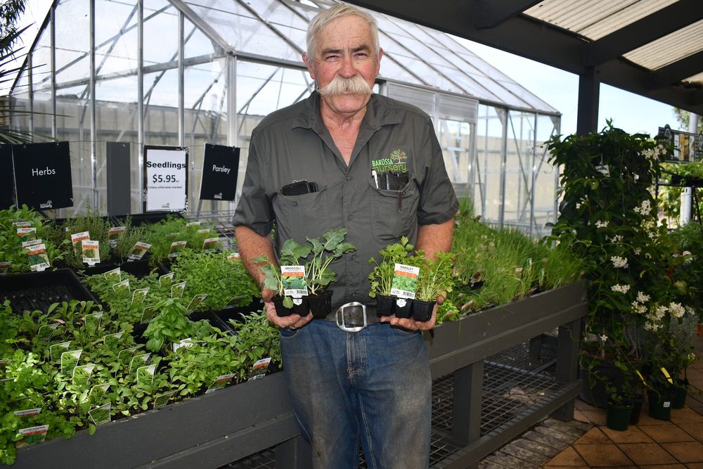 Home growers slash supermarket bills post image