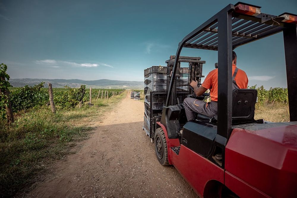 CozWine becomes Acclaimed Workforce post image