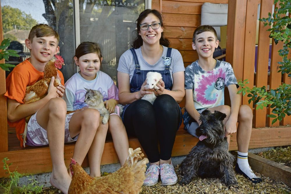 Pets on parade post image