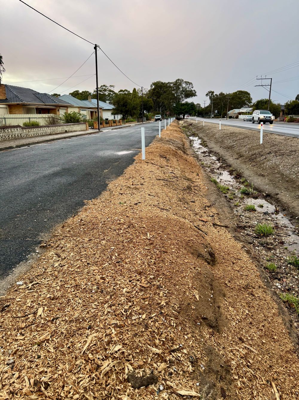 Declining trees removed at Nuriootpa post image