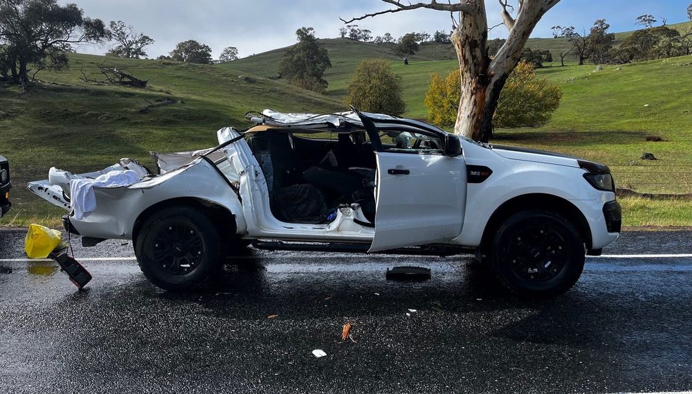 Ute crushed by tree at Williamstown post image