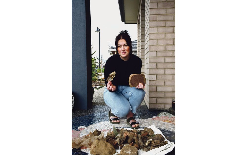 Surprise Hazard - Parent concern over polluted soil post image