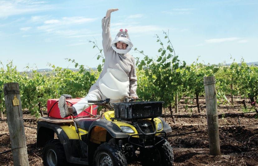 Lyn is one helpful hippo post image