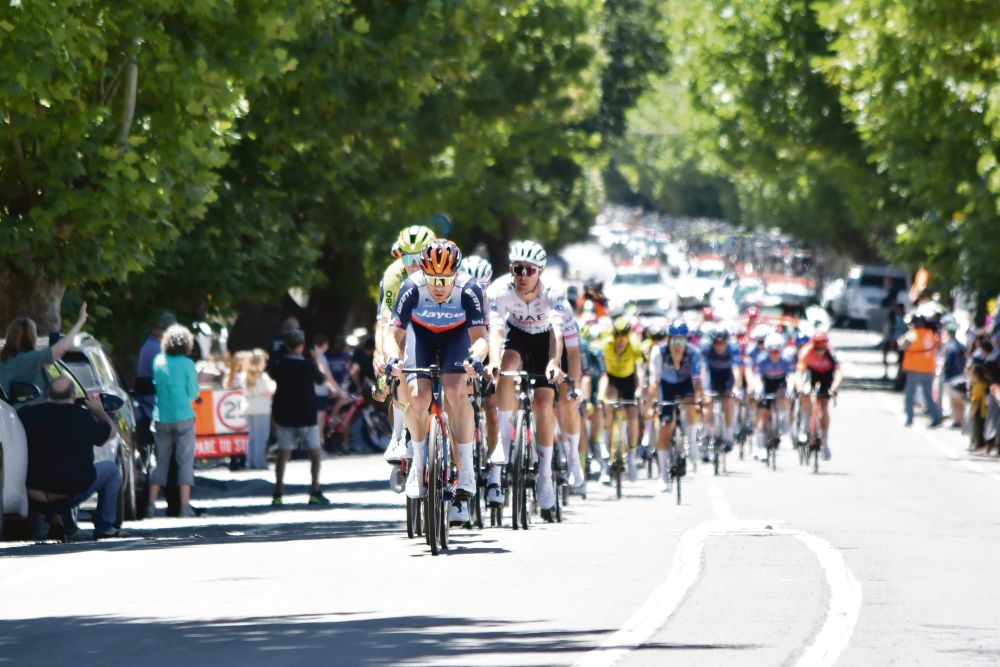 Barossa gears up for the Tour Down Under post image