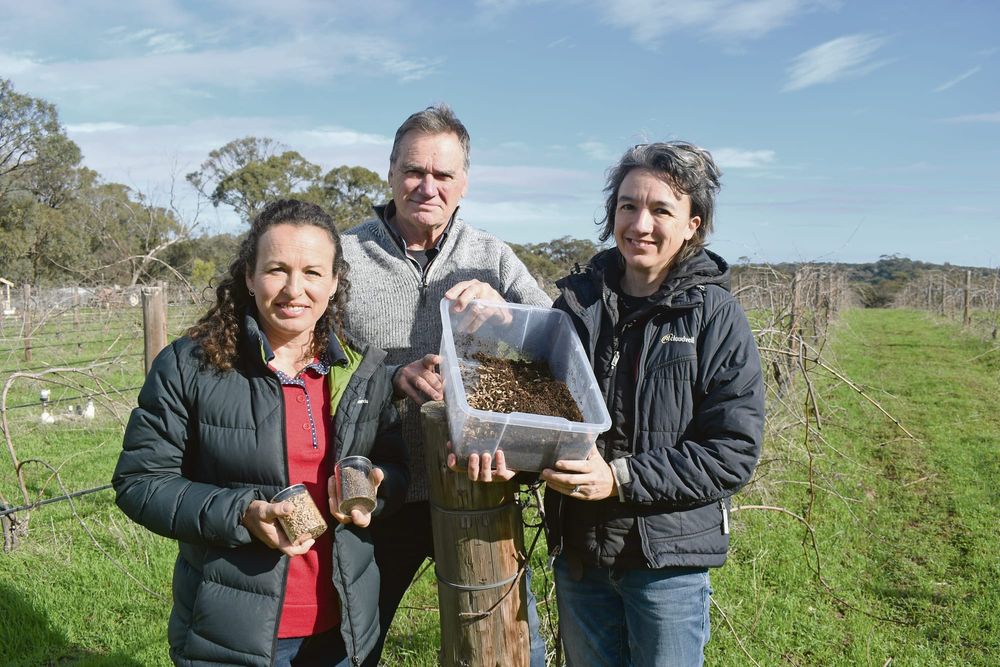 Grant creates a buzz over fly frass post image