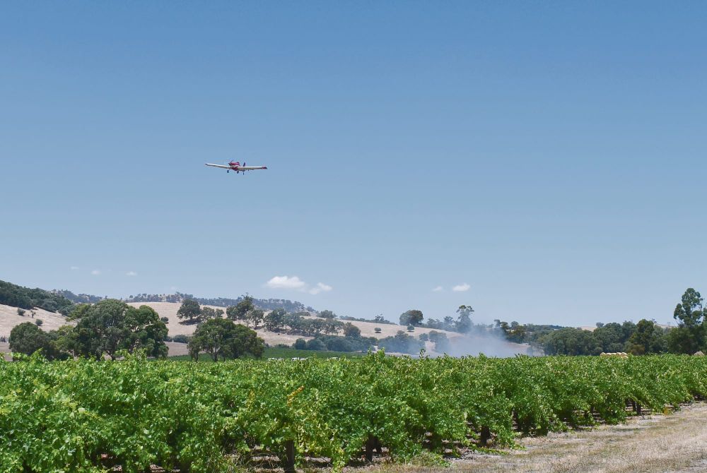 Fire at Lyndoch vineyard post image