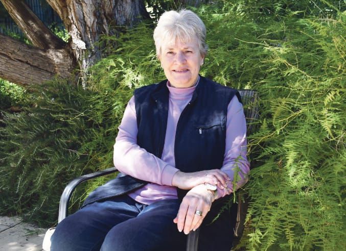 Ann retires from local government post image