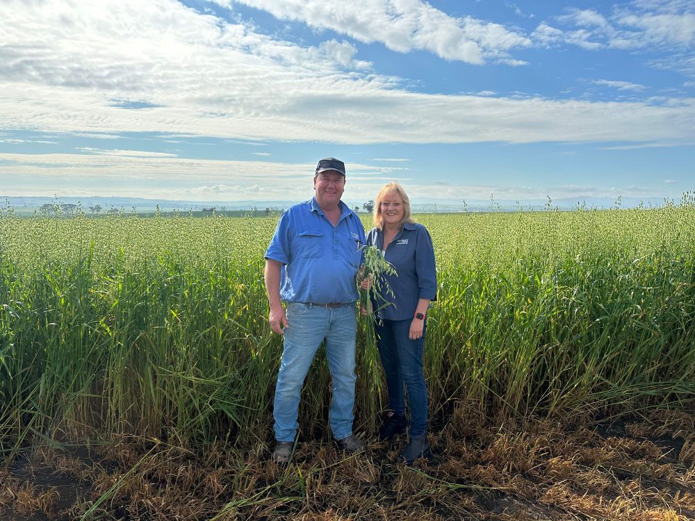 Hopeful harvest for Barossa crop farmers post image