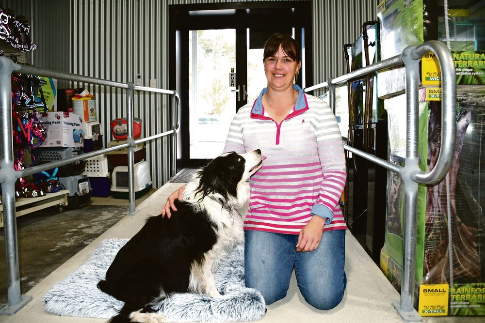 Keeping your pets comfy this winter post image