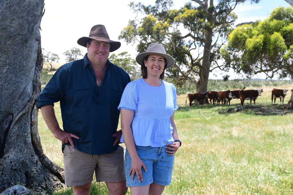 Garryowen produces ‘flavour of Barossa’ post image