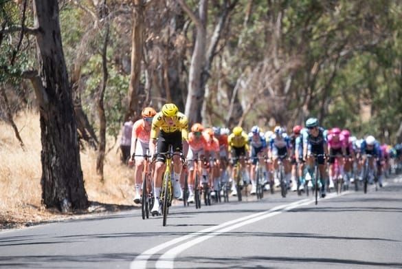 Tour de Barossa post image
