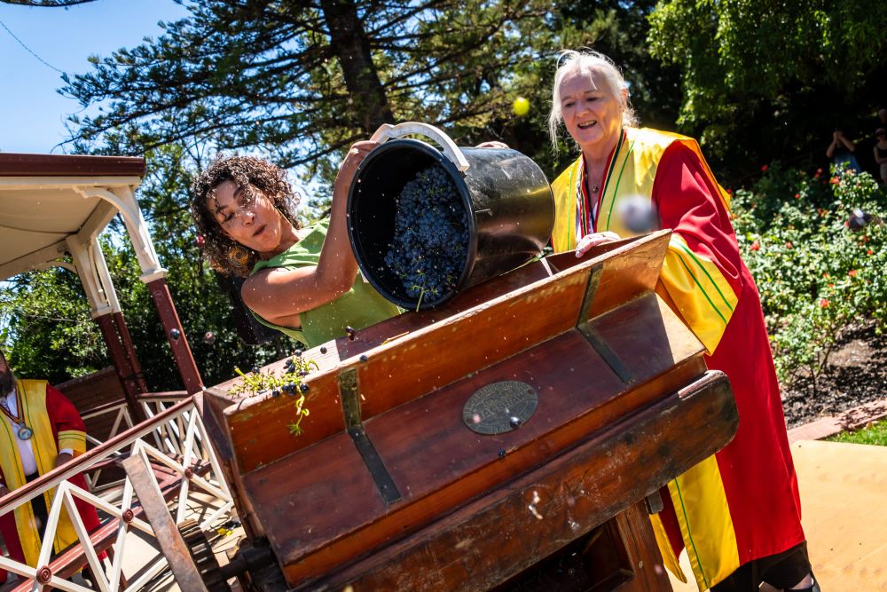 Declaration of Vintage at Tanunda post image