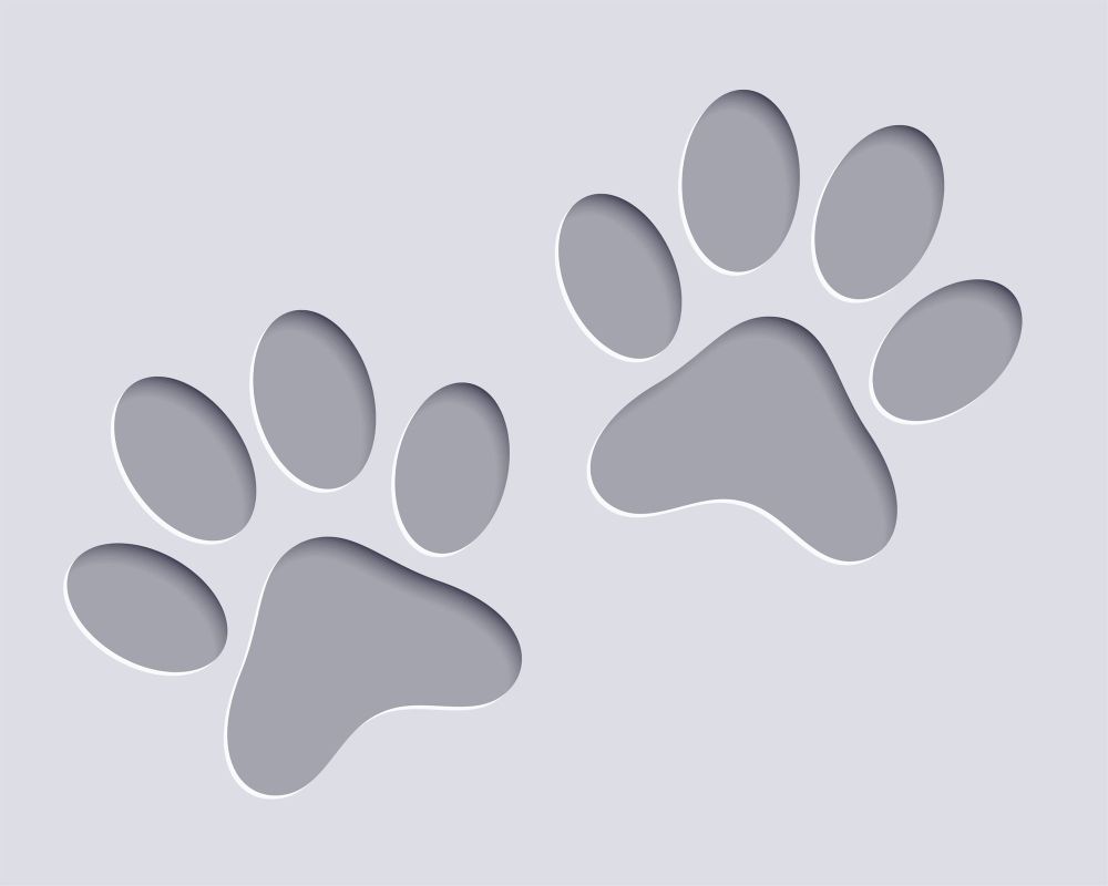 Council work to resolve concerns with cats at Nuriootpa post image