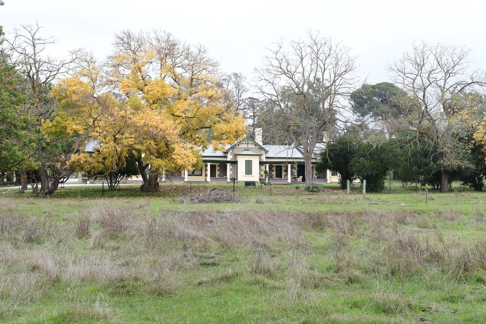 Collingrove revitilisation being enacted by Trust post image