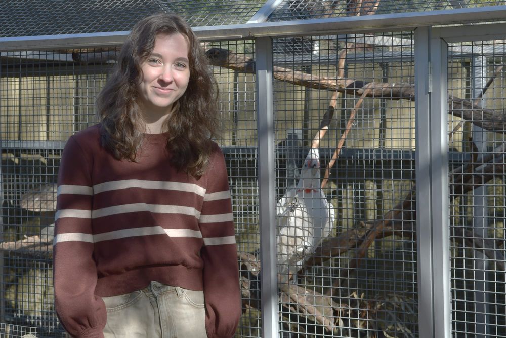 Wildlife rescuers are Bird Flu ready, when the time comes post image