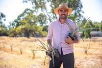Farmer in Focus: Justin Conceicao of Luna Brewing & Distilling, Cockatoo Valley post image