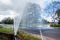 Free car wash at Ebenezer post image