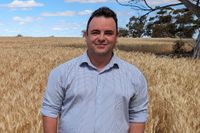 Optimism grows for grain producers after strong early growing conditions post image