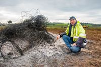 A Vale to vines: Vine Vale grower among latest to pull vines in “brutal” downturn post image