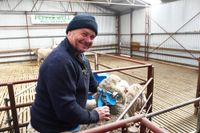 Pepper Well Merinos have early joining success post image