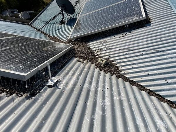 Protecting your property’s gutters post image