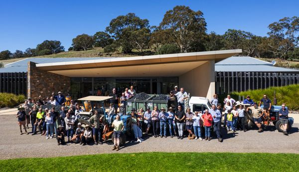 Another successful harvest from the Ark Vineyard post image