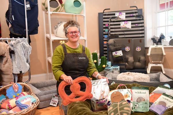 For your pets’ sake, it’s time for a little extra comfort and care post image