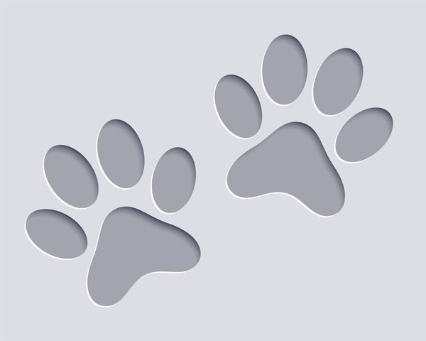 Council work to resolve concerns with cats at Nuriootpa post image