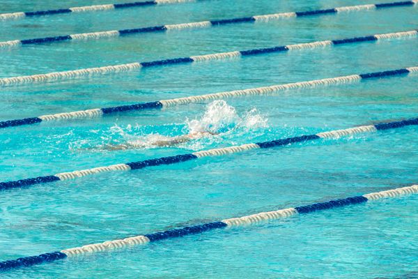 Barossa swimmers shine at home carnival post image