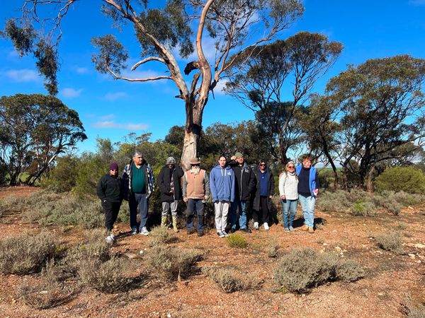 Ngadjuri Nations and Levi Creek volunteers working together post image