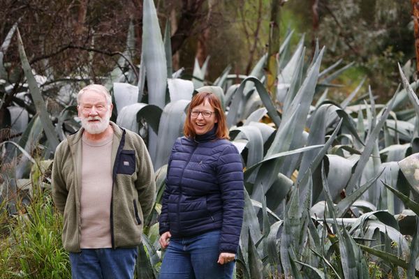 Barossa Archery Club champions environmental rejuvenation post image
