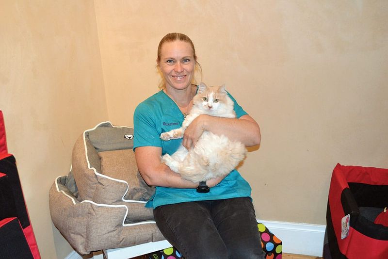 For Pet’s Sake & The Vet Clinic post image