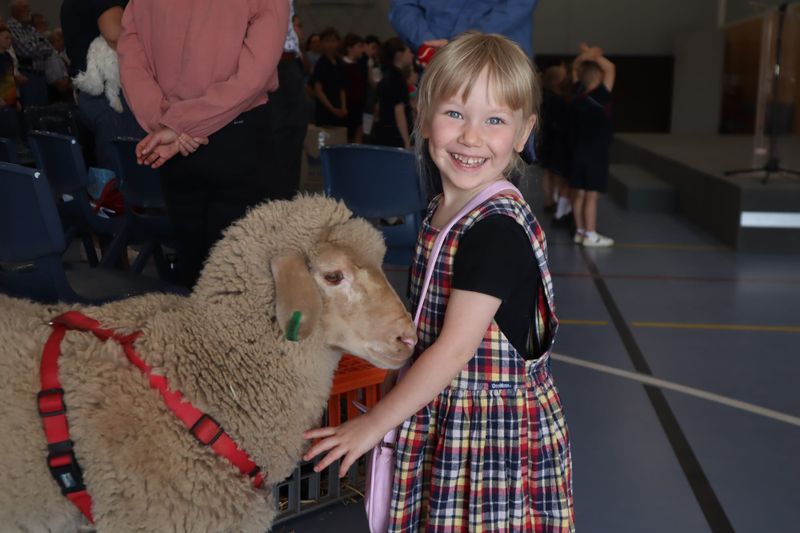 Good Shepherds for students’ pets post image