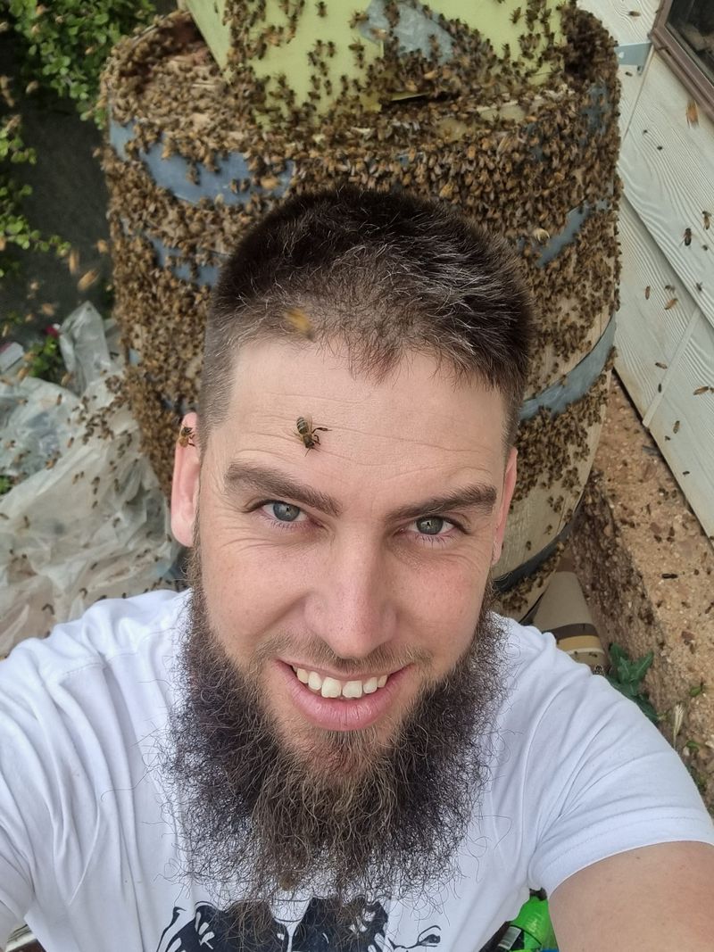 Farmer in Focus: Owen Lampe, 3 Boys Honey, Cambrai post image