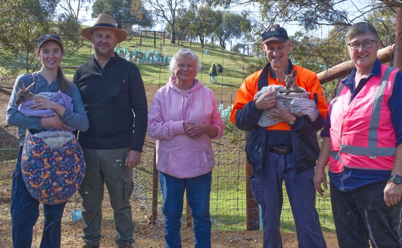 Barossa Wildlife Rescue continues to grow post image