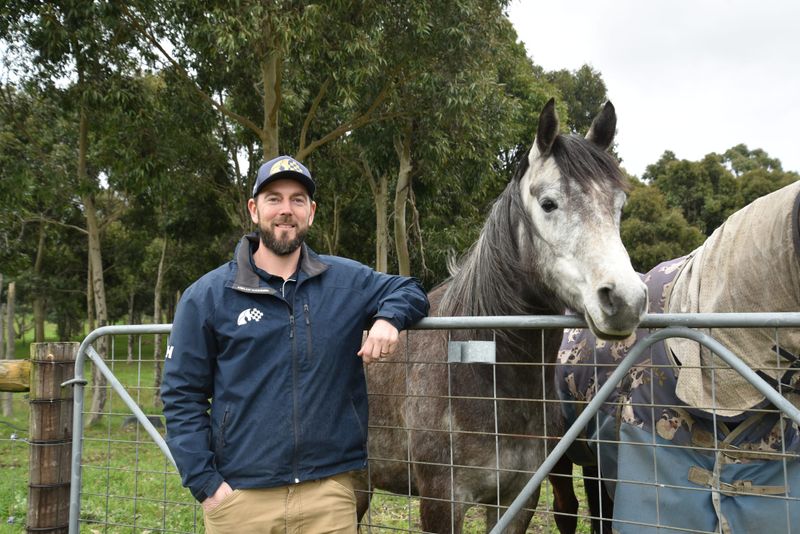 Neigh-day alert as equine vet uptake dwindles post image