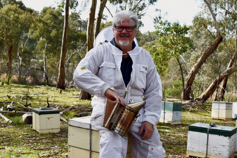 Varroa mite threat on Barossa hive owners post image