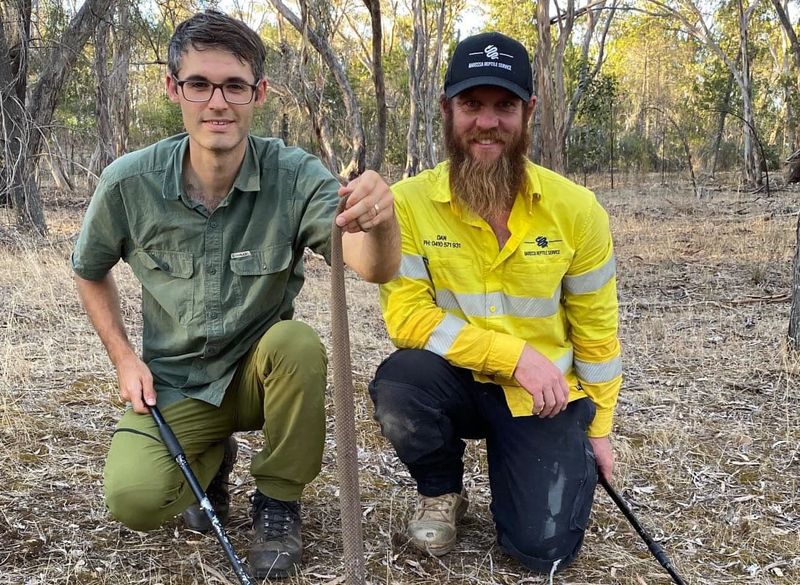 Barossa snakes as stars post image