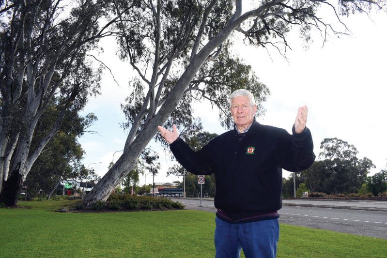 The leaning tree of Nuri. post image