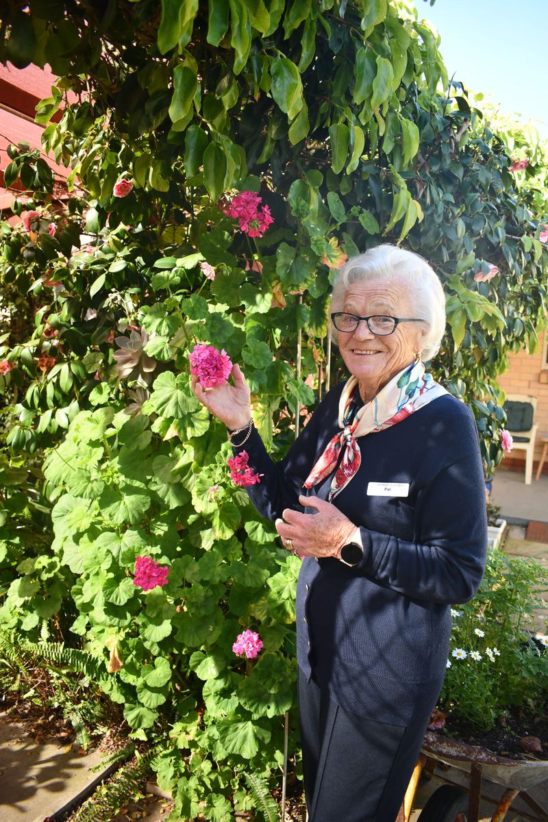 Pat stops to smell the flowers post image