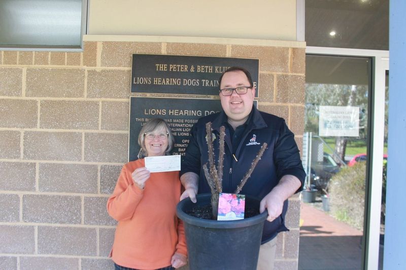 A rose by any other sound post image