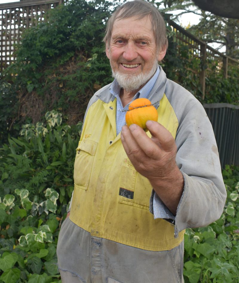 A juicy tale - the story of the wayward fruit post image