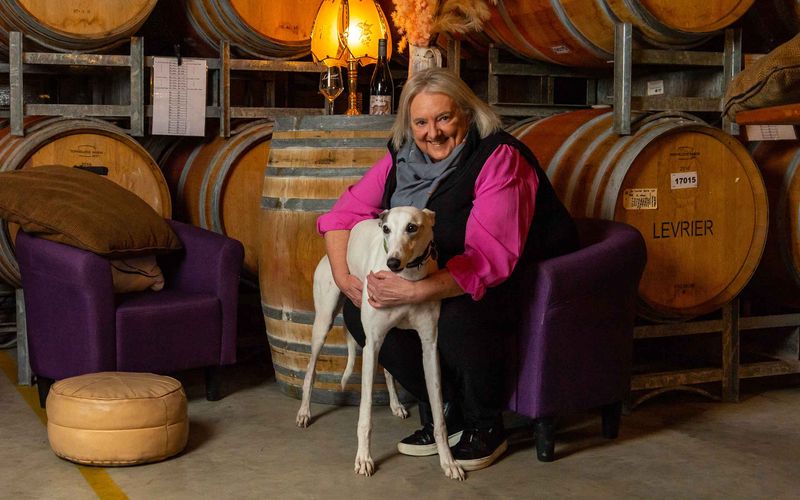 From patients to patience post image